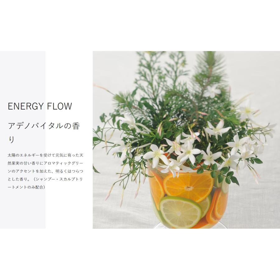 資生堂 アデノバイタル シャンプー 1000ml 資生堂プロフェッショナル