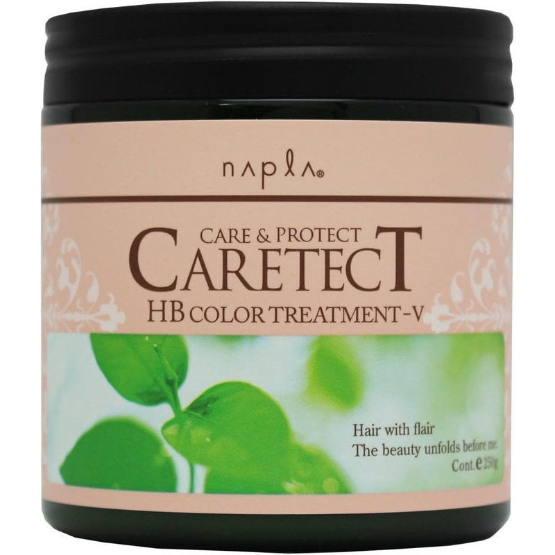 ナプラ ケアテクト HB カラー トリートメント V ハリ・コシタイプ 250g