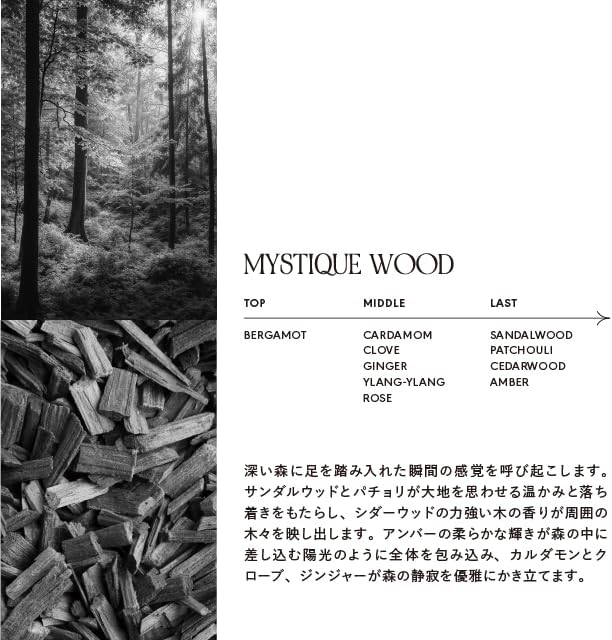 LOA THE OIL ロアザオイル MYSTIQUE WOOD ミスティックウッド 100ml 洗い流さない アウトバストリートメント フレグランス スタイリングオイル ヘア ボディ