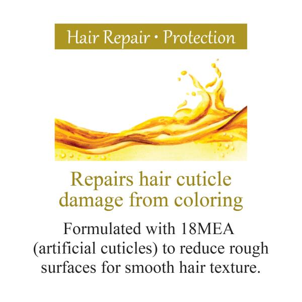 ホーユー プロマスター カラーケア スタイリッシュ シャンプー 250ml