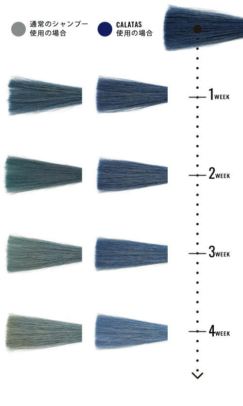 カラタス シャンプー ヒートケア ネイビー Nv 250ml CALATAS カラー ノンシリコン