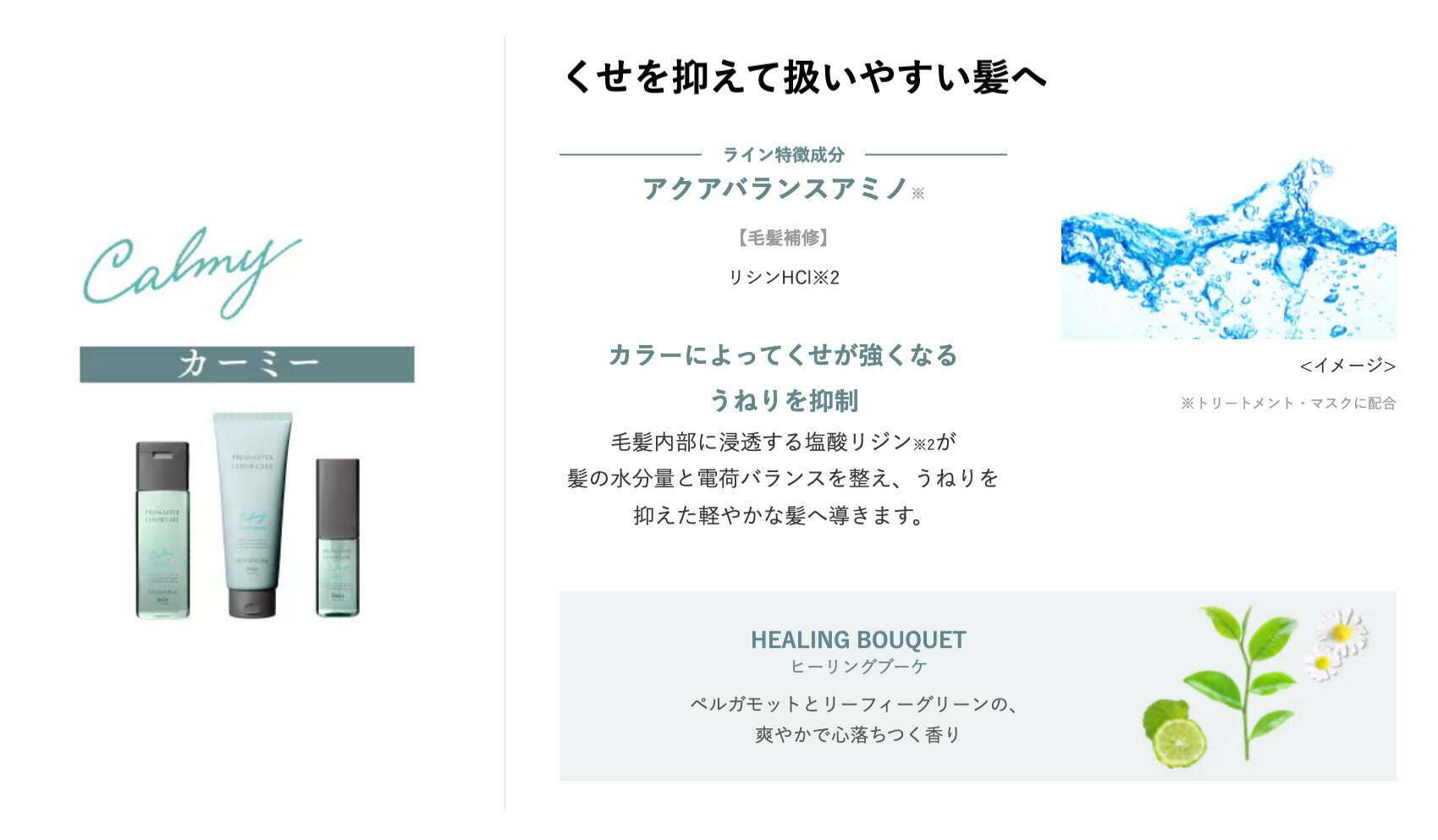 ホーユー hoyu プロマスター カラーケア カーミー シャンプー 600ml