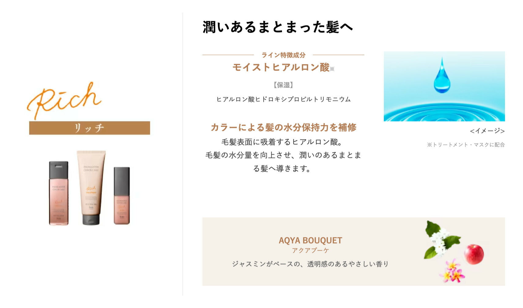 ホーユー hoyu プロマスター カラーケア リッチ シャンプー 250ml