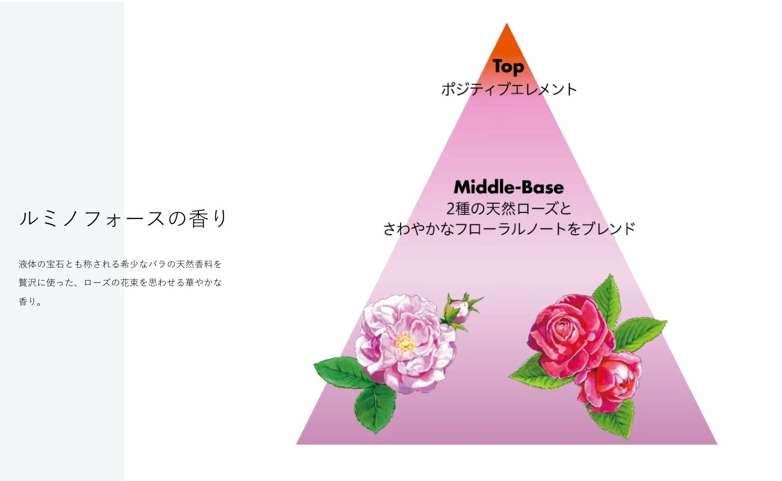 資生堂 サブリミック ルミノフォース マスク 200g